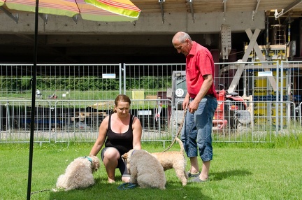 Warm UP und Cool Down  16