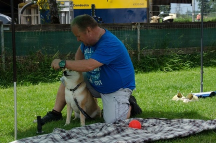 Warm UP und Cool Down  17