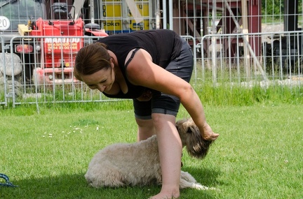 Warm UP und Cool Down  19