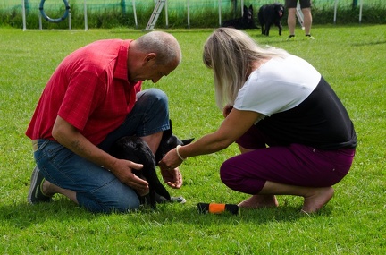 Warm UP und Cool Down  24