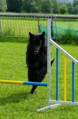 Warm UP und Cool Down  30