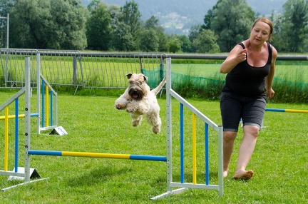 Warm UP und Cool Down  35