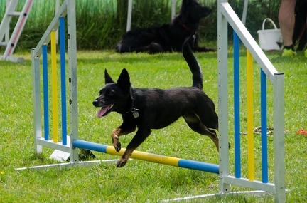 Warm UP und Cool Down  38