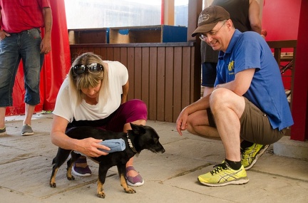 Warm UP und Cool Down  53