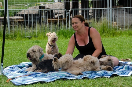 Warm UP und Cool Down  55