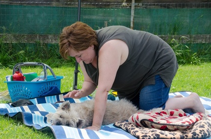 Warm UP und Cool Down  56