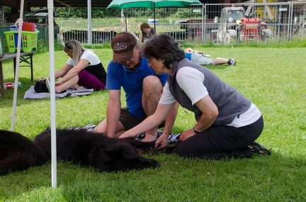 Warm UP und Cool Down  61