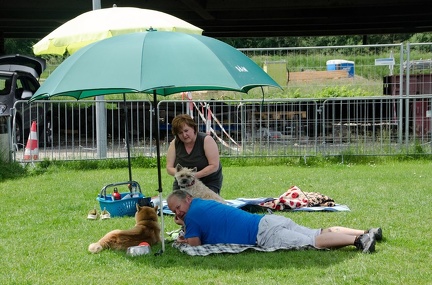 Warm UP und Cool Down  62