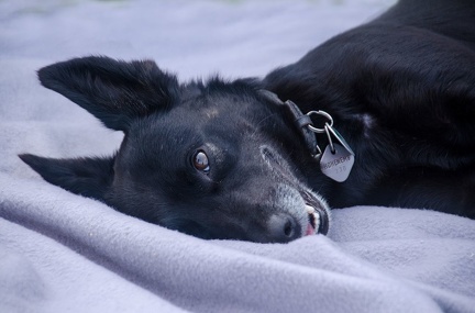 Warm UP und Cool Down  65