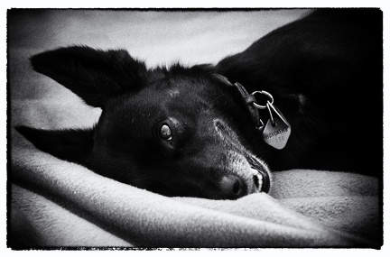 Warm UP und Cool Down  66