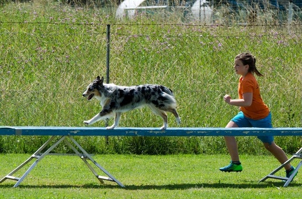 BSP Hindernislauf 2- 03