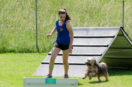 BSP Hindernislauf 2- 06