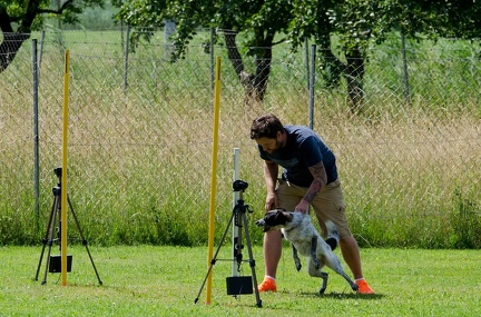 BSP Hindernislauf 2- 08