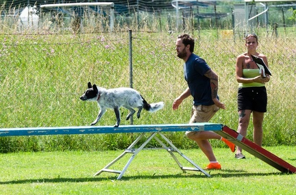 BSP Hindernislauf 2- 09