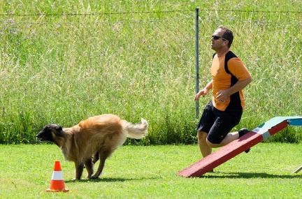 BSP Hindernislauf 2- 12