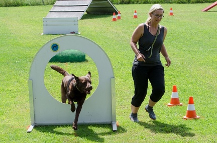 BSP Hindernislauf 2- 18