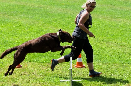 BSP Hindernislauf 2- 19