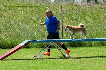 BSP Hindernislauf 2- 25