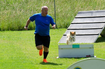 BSP Hindernislauf 2- 27