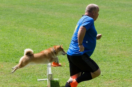 BSP Hindernislauf 2- 29