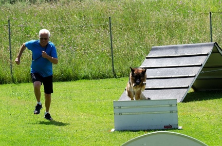 BSP Hindernislauf 2- 31