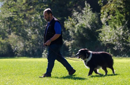 BGH LM Sateins 09-09-2018 06