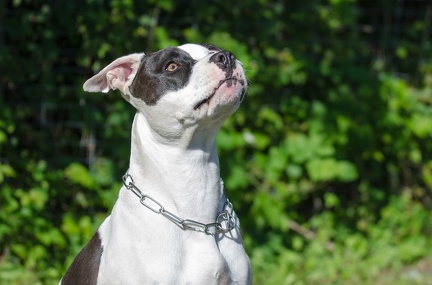 BGH LM Sateins 09-09-2018 15