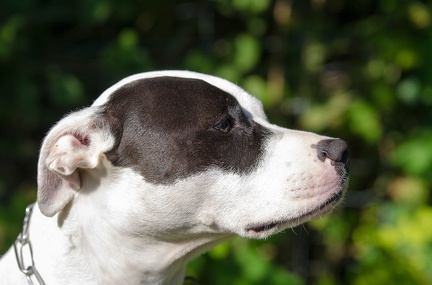 BGH LM Sateins 09-09-2018 11