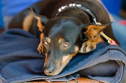 BGH LM Sateins 09-09-2018 29