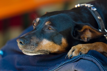 BGH LM Sateins 09-09-2018 31