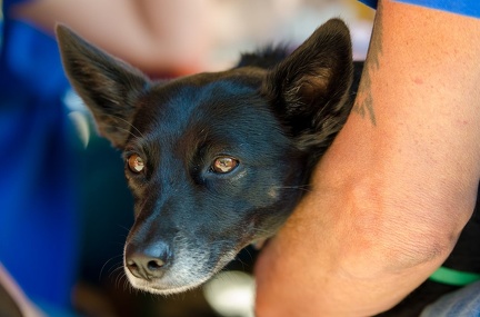 BGH LM Sateins 09-09-2018 30