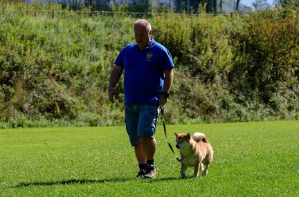 BGH LM Sateins 09-09-2018 35