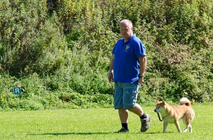 BGH LM Sateins 09-09-2018 36