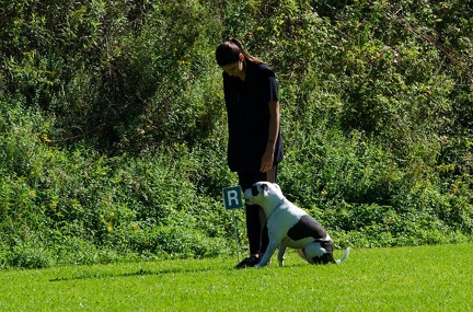 BGH LM Sateins 09-09-2018 41