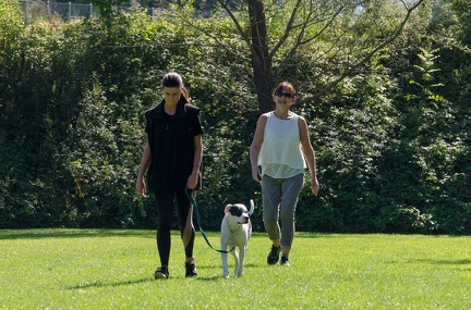 BGH LM Sateins 09-09-2018 44