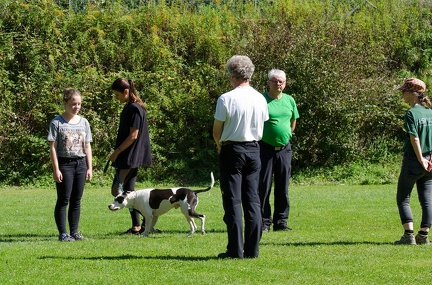 BGH LM Sateins 09-09-2018 48