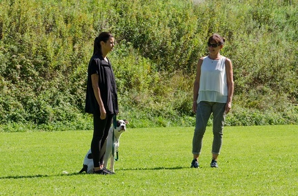 BGH LM Sateins 09-09-2018 47