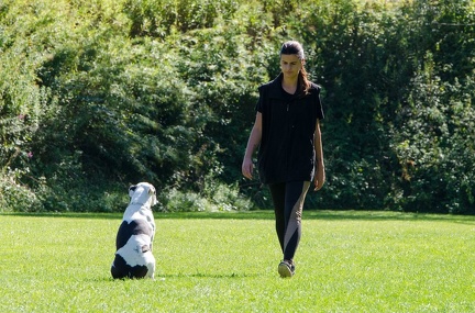 BGH LM Sateins 09-09-2018 52