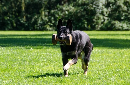 BGH LM Sateins 09-09-2018 63