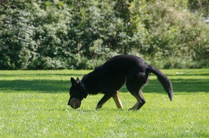 BGH LM Sateins 09-09-2018 62