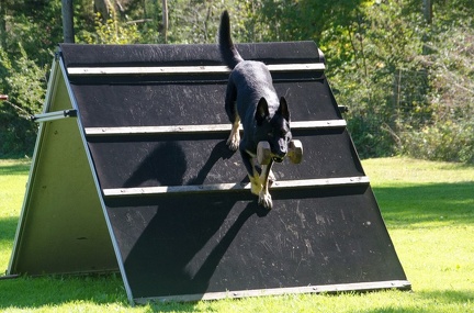 BGH LM Sateins 09-09-2018 64