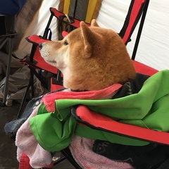 5cedf146-ebee-4b40-8bb9-0566b7ba9d8f - Kopie