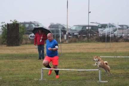 57f37b87-fbb2-4e9b-b427-27b20d5db271 - Kopie