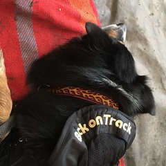 9813a049-eac5-486b-9fe1-9fb911e6852f - Kopie