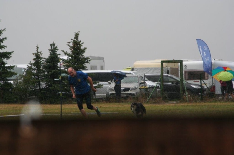 43635c0b-5668-4957-b978-32c00d9b4815 - Kopie.jpg