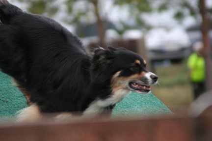 d9ee8fed-d2c4-4cb5-af8f-cfbbc678c369 - Kopie