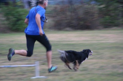 bf22b26d-c289-4e52-89a8-bdf944a33c55 - Kopie