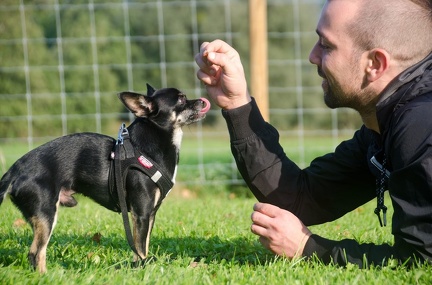 HVD BGH-Kurs 29-09-2018 021
