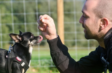 HVD BGH-Kurs 29-09-2018 022