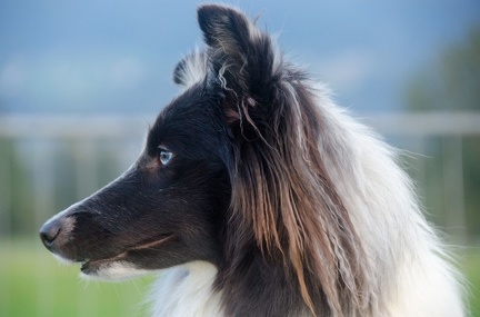 HVD BGH-Kurs 29-09-2018 047